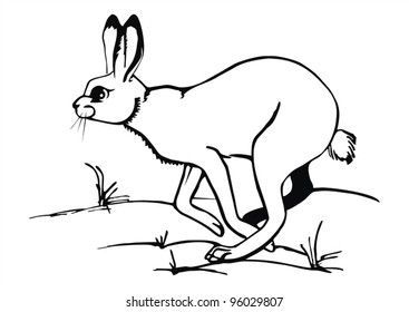 artistic sketch -  hare on the grass -  vector drawing