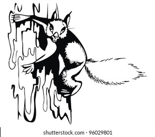 artistic sketch -  squirrel on the tree in the wood -  vector drawing