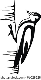 artistic sketch -  woodpecker on the tree in the wood -  vector drawing