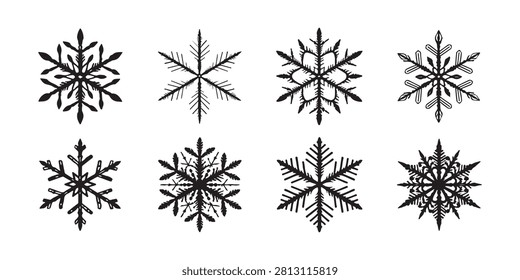 Artistic snowflake set featuring various branch styles and icy crystalline shapes for winter season.