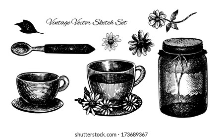 Artistic vector background. Food and drinks series