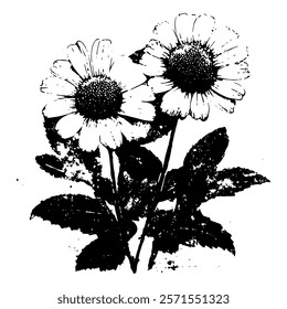 artistic vector of blooming flowers, black and white vector illustration of two daisies with detailed petals and leaves, perfect for botanical and floral-themed designs