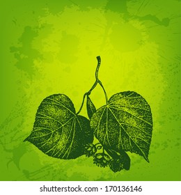 Artistic vector card with ink style lime tree leaves and blossom