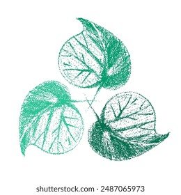 An artistic vector hand draw crayon style illustration of green leaves representing nature, ecology, and plant life, ideal for design projects