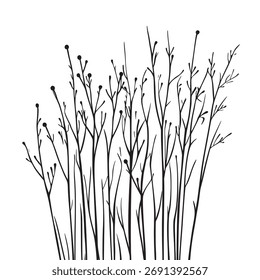 artistic vector illustration with simple lines of documenting seasonal changes in nature