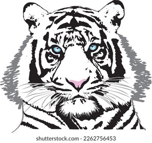 Artistic vector image of a Siberian Tiger.
