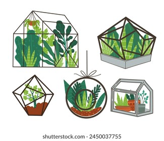 Artistic vector representation of greenhouse terrariums filled with vibrant plants, isolated on white background.