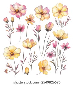 Artistic watercolor illustration of wildflowers featuring delicate yellow and pink petals with botanical details, perfect for design or decor.
