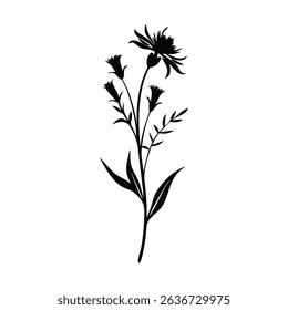 Artistic wild flower vector with vintage flair, ideal for hand-drawn floral decor, organic branding, and creative use.