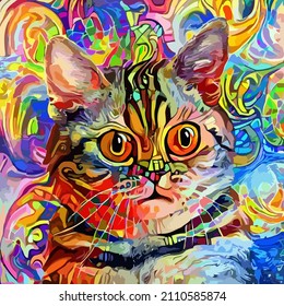 An artistically designed and digitally painted, abstract impressionist style portrait of a cute fluffy cat with beautiful big eyes.
