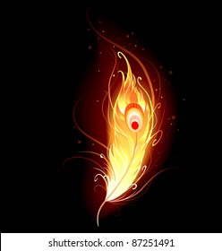 artistically drawn, flaming phoenix feather on a black background.