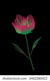 Artistically drawn single flower with a stem, illustrated flower with pink and green for a wall hanger, wall paper, fabric, book cover, web sites, posters, banners, back drops