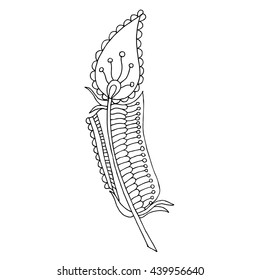 Artistically drawn, stylized, vector feather on a white background. Vintage tribal feather - doodle feather