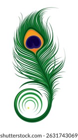 Artistically drawn, stylized, vector peacock feather 