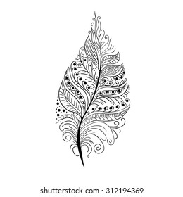 artistically drawn, stylized, vector peacock feather on a white background