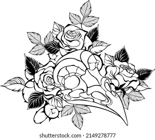 Artistically painted, Gothic, bird skull decorated with contoured, blooming roses with black leaves and stems on white background. Gothic style.