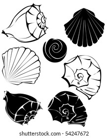 artistically painted, stylized seashells on a white background.