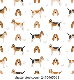 Artois hound seamless pattern. Different poses, coat colors set. vector illustration