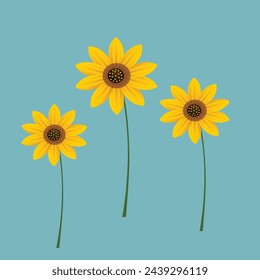 Arts on three sun flowers with background