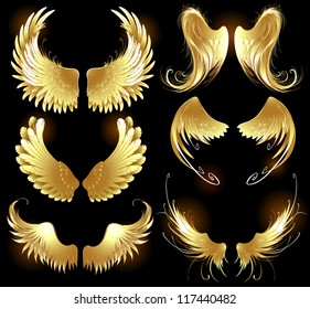 Arts painted, gold angel wings on a black background.