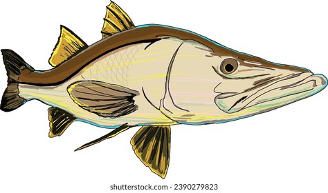 An artsy full colored Snook fish