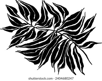 Artwork Brush Palm Leaves Silhouette