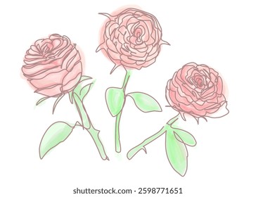 Artwork features three handdrawn pink roses with intricate petals and vibrant green leaves on a white background. The illustration is delicate and elegant, ideal for floral designs.