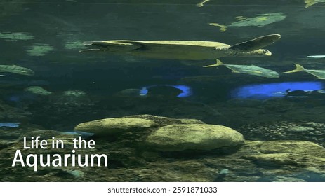 Artwork on canvas. The text "Life in the Aquarium" on an artistic background. A work of art for interior decoration.