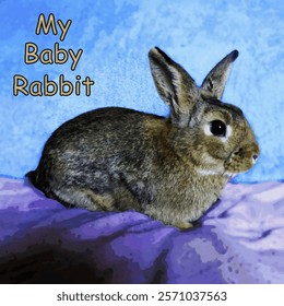 Artwork on canvas. The text "My Baby Rabbit" on an artistic background. A work of art for interior decoration.