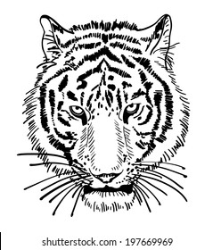 11,585 Tiger Line Drawing Face Images, Stock Photos & Vectors ...