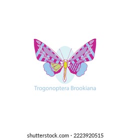 Artwork Trogonoptera Brookiana Logo Icon