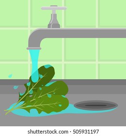 Arugula being cleaned and washed in a sink in a kitchen. Running tap water.