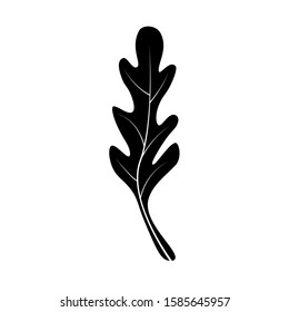 Arugula. Black icon isolated on the white background. raw fresh food