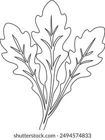 Arugula coloring page for kids and adults