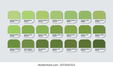 Paleta de cores do Arugula, Paleta do guia de cores verde do Arugula com nomes de cores. Catálogo Amostras de verde com códigos RGB HEX. plástico, pintura, verde natural, moda tendência Arugula tons tons de tons coloridos