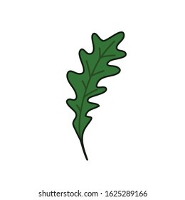 arugula doodle icon, vector illustration