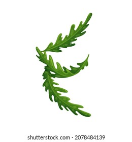 Arugula falling concept, levitating arugula, rocket, eruca, rucola vector illustration