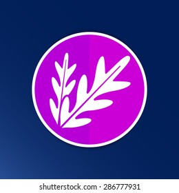 arugula foliage logo element icon food vegetarian.
