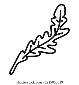 Arugula herb icon outline vector. Rucola salad. Leaf plant