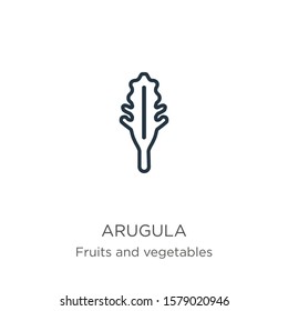 Arugula icon. Thin linear arugula outline icon isolated on white background from fruits and vegetables collection. Line vector sign, symbol for web and mobile
