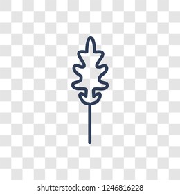 Arugula icon. Trendy linear Arugula logo concept on transparent background from Fruits and vegetables collection