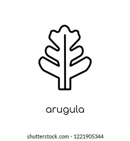 arugula icon. Trendy modern flat linear vector arugula icon on white background from thin line Fruit and vegetables collection, outline vector illustration