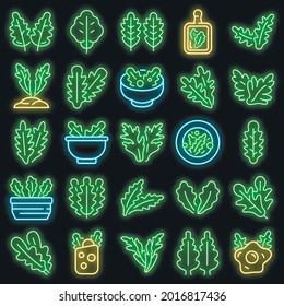 Iconos de Arugula. Conjunto de contornos de iconos vectoriales de arugula color de neón sobre negro