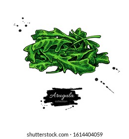 Arugula leaf heap hand drawn vector illustration. Isolated Vegetable object. Detailed vegetarian food drawing. Farm market salad. Great for menu, label, icon