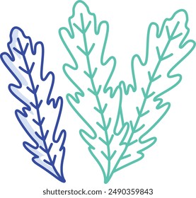 Arugula Leaf outline color vector illustration