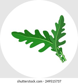 Arugula Leaves