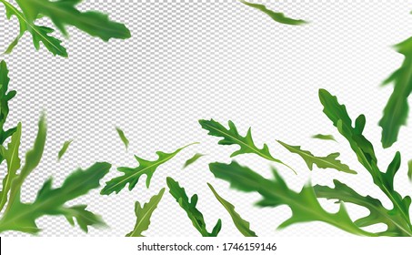 Arugula leaves background. 