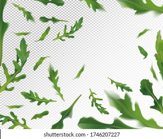 Arugula leaves background. Flying green ruccola on transparent background. Fresh arugula falling from different angles. Vector illustration.