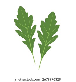 arugula leaves flat vector illustration logo icon clipart