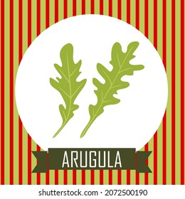 Hojas de Arugula en un marco. Tarjeta vectorial.